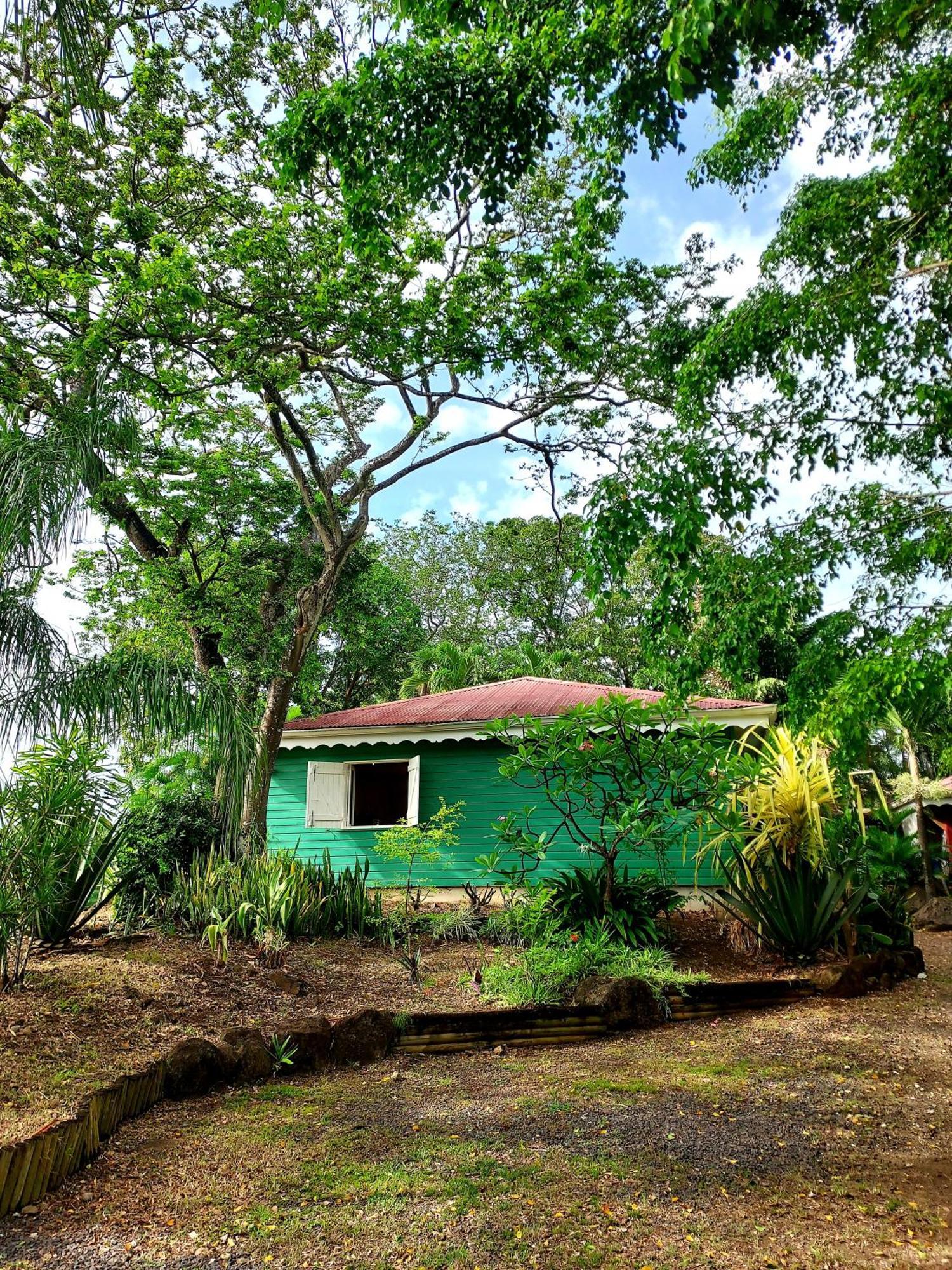 Bungalow Du Jardin Botanique De Deshaies Phòng bức ảnh