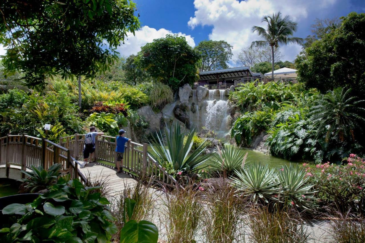 Bungalow Du Jardin Botanique De Deshaies Ngoại thất bức ảnh